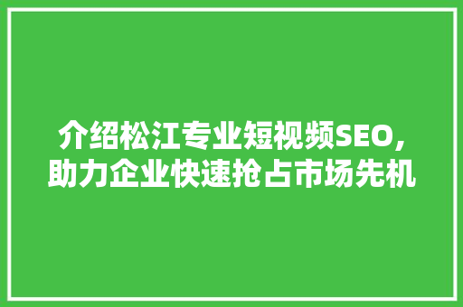 介绍松江专业短视频SEO,助力企业快速抢占市场先机