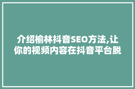 介绍榆林抖音SEO方法,让你的视频内容在抖音平台脱颖而出  第1张