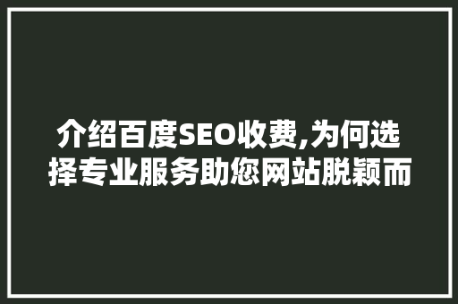 介绍百度SEO收费,为何选择专业服务助您网站脱颖而出