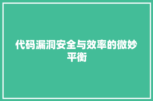 代码漏洞安全与效率的微妙平衡