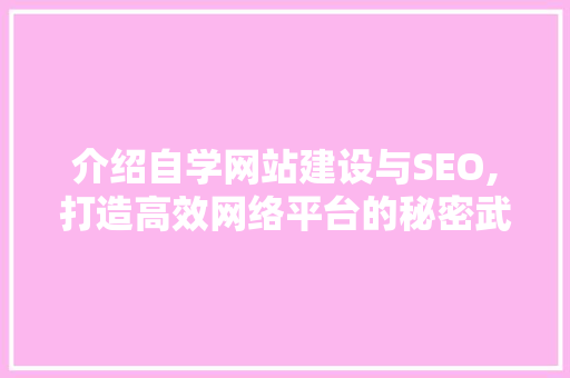 介绍自学网站建设与SEO,打造高效网络平台的秘密武器
