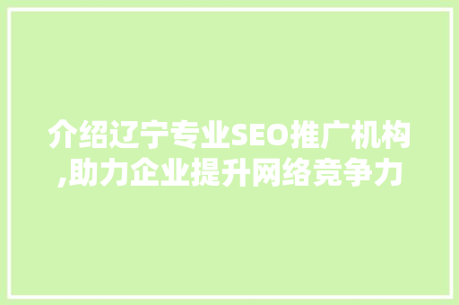 介绍辽宁专业SEO推广机构,助力企业提升网络竞争力
