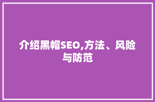 介绍黑帽SEO,方法、风险与防范