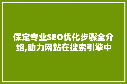 保定专业SEO优化步骤全介绍,助力网站在搜索引擎中脱颖而出
