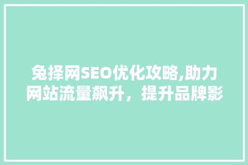 兔择网SEO优化攻略,助力网站流量飙升，提升品牌影响力