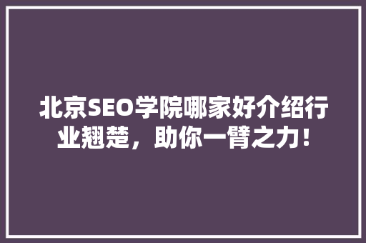 北京SEO学院哪家好介绍行业翘楚，助你一臂之力！