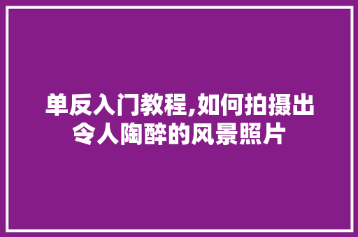 单反入门教程,如何拍摄出令人陶醉的风景照片