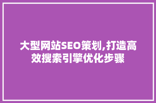 大型网站SEO策划,打造高效搜索引擎优化步骤