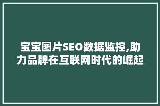 宝宝图片SEO数据监控,助力品牌在互联网时代的崛起