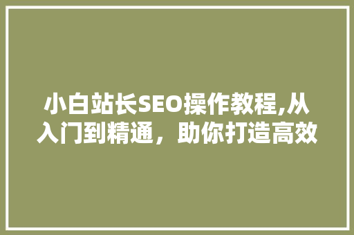 小白站长SEO操作教程,从入门到精通，助你打造高效网站