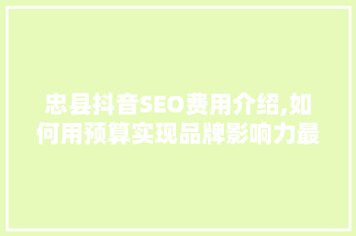忠县抖音SEO费用介绍,如何用预算实现品牌影响力最大化