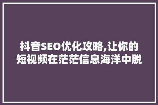 抖音SEO优化攻略,让你的短视频在茫茫信息海洋中脱颖而出