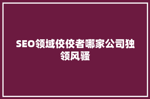 SEO领域佼佼者哪家公司独领风骚
