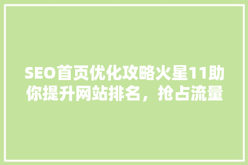 SEO首页优化攻略火星11助你提升网站排名，抢占流量红利