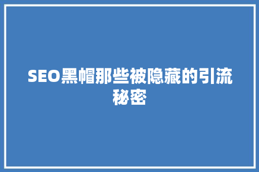SEO黑帽那些被隐藏的引流秘密