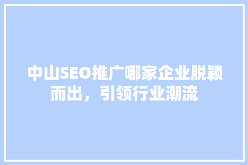 中山SEO推广哪家企业脱颖而出，引领行业潮流
