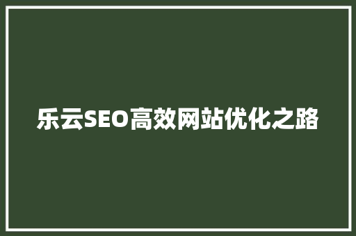 乐云SEO高效网站优化之路