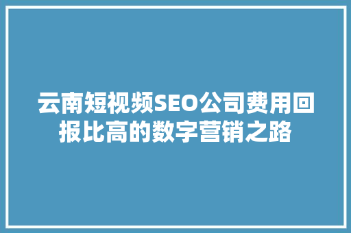 云南短视频SEO公司费用回报比高的数字营销之路