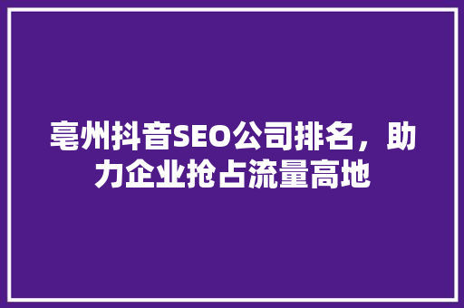 亳州抖音SEO公司排名，助力企业抢占流量高地