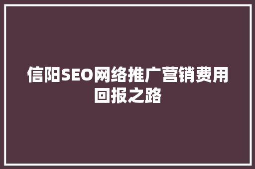 信阳SEO网络推广营销费用回报之路