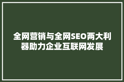 全网营销与全网SEO两大利器助力企业互联网发展