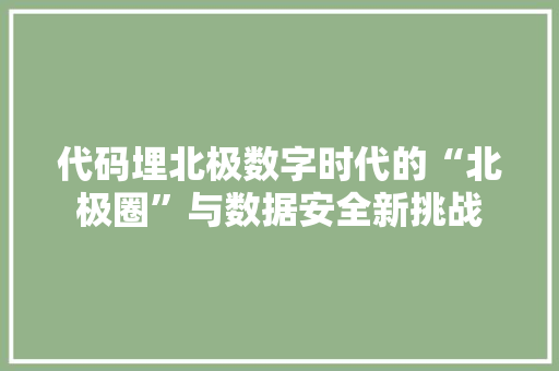 代码埋北极数字时代的“北极圈”与数据安全新挑战