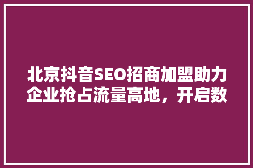 北京抖音SEO招商加盟助力企业抢占流量高地，开启数字营销新篇章