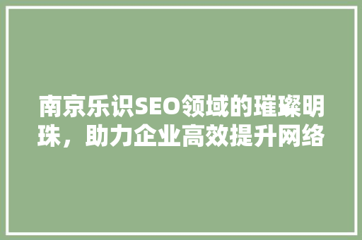 南京乐识SEO领域的璀璨明珠，助力企业高效提升网络曝光