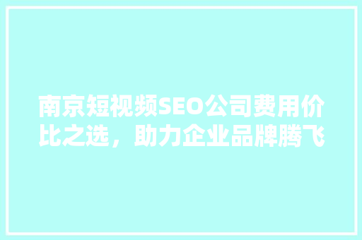 南京短视频SEO公司费用价比之选，助力企业品牌腾飞