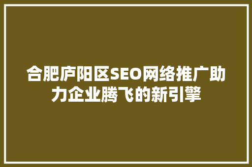 合肥庐阳区SEO网络推广助力企业腾飞的新引擎
