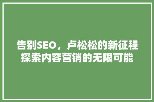 告别SEO，卢松松的新征程探索内容营销的无限可能