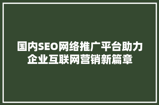 国内SEO网络推广平台助力企业互联网营销新篇章