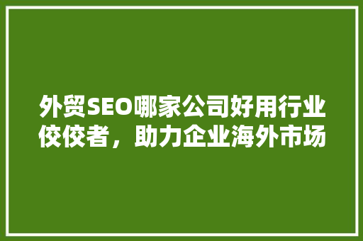 外贸SEO哪家公司好用行业佼佼者，助力企业海外市场腾飞