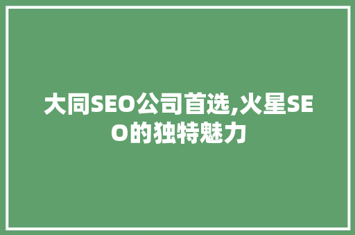 大同SEO公司首选,火星SEO的独特魅力