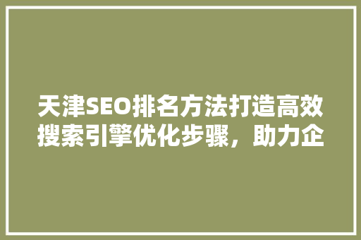 天津SEO排名方法打造高效搜索引擎优化步骤，助力企业网络营销