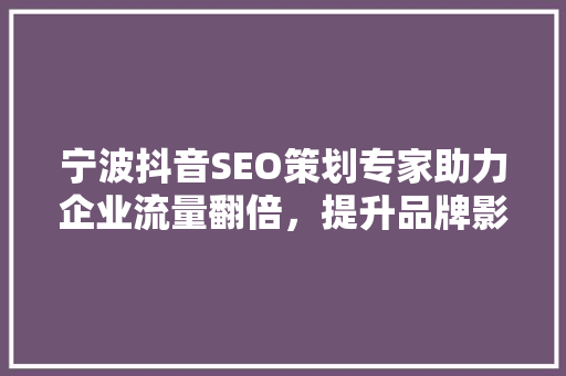 宁波抖音SEO策划专家助力企业流量翻倍，提升品牌影响力
