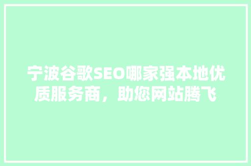 宁波谷歌SEO哪家强本地优质服务商，助您网站腾飞