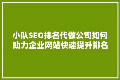 小队SEO排名代做公司如何助力企业网站快速提升排名