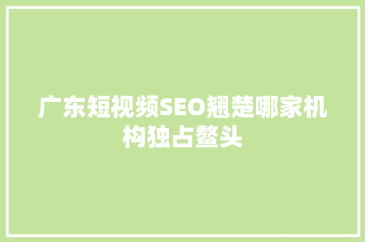 广东短视频SEO翘楚哪家机构独占鳌头