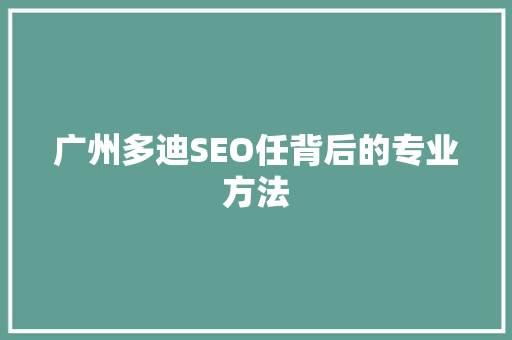 广州多迪SEO任背后的专业方法
