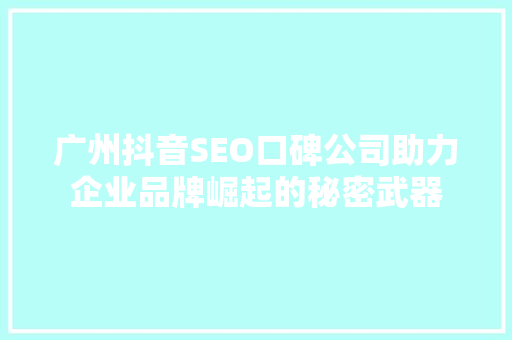 广州抖音SEO口碑公司助力企业品牌崛起的秘密武器