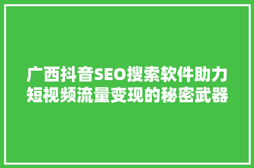广西抖音SEO搜索软件助力短视频流量变现的秘密武器
