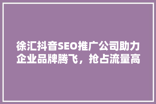 徐汇抖音SEO推广公司助力企业品牌腾飞，抢占流量高地