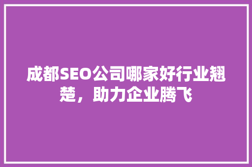 成都SEO公司哪家好行业翘楚，助力企业腾飞