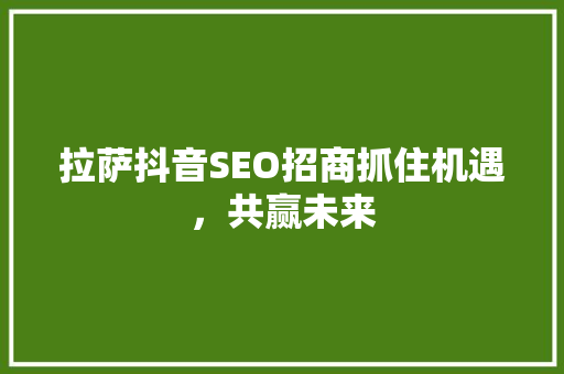 拉萨抖音SEO招商抓住机遇，共赢未来
