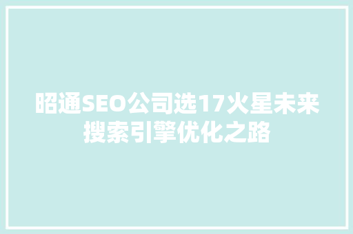 昭通SEO公司选17火星未来搜索引擎优化之路