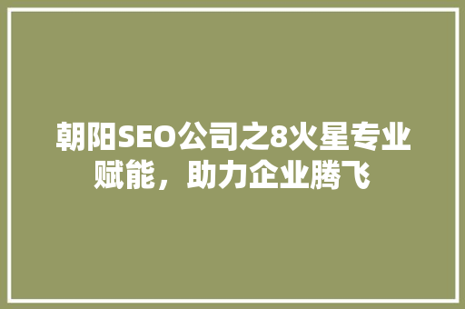 朝阳SEO公司之8火星专业赋能，助力企业腾飞