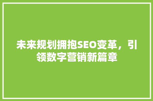 未来规划拥抱SEO变革，引领数字营销新篇章