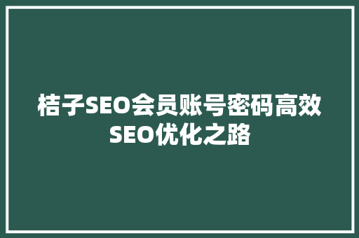 桔子SEO会员账号密码高效SEO优化之路