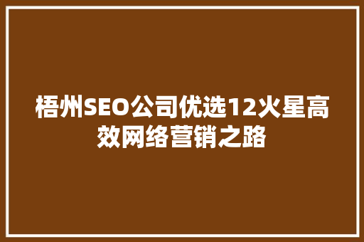 梧州SEO公司优选12火星高效网络营销之路